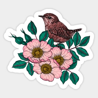 Wren on a dog rose Sticker